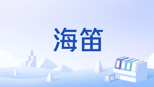 海笛（乐器）