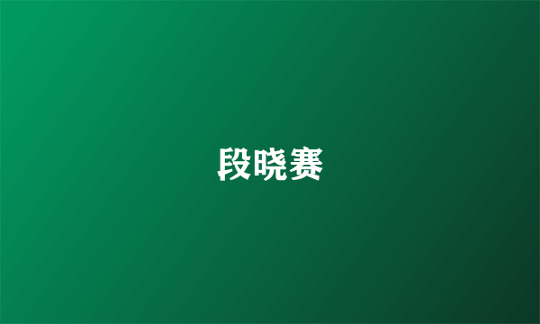 段晓赛