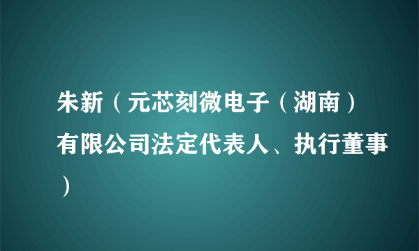 朱新（元芯刻微电子（湖南）有限公司法定代表人、执行董事）