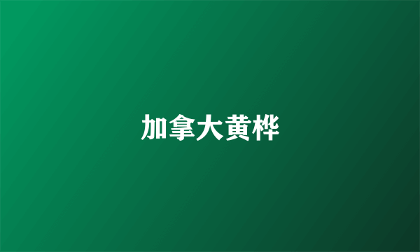 加拿大黄桦
