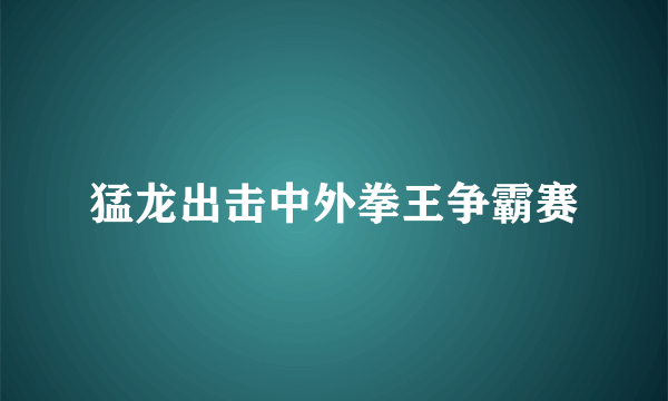 猛龙出击中外拳王争霸赛