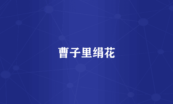曹子里绢花