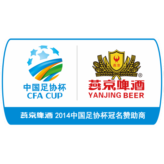 2014年中国足球协会杯