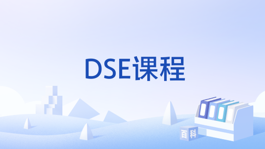 DSE课程