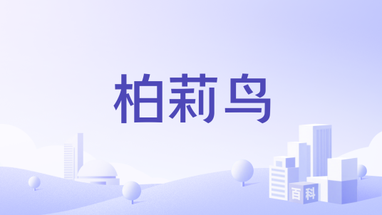 柏莉鸟