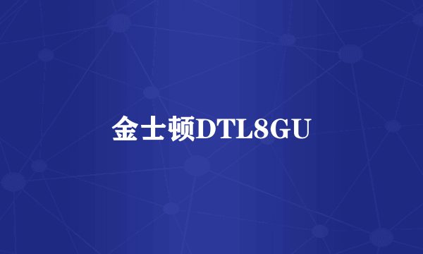 金士顿DTL8GU