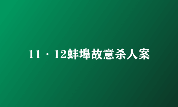 11·12蚌埠故意杀人案