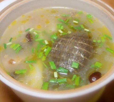 清炖甲鱼