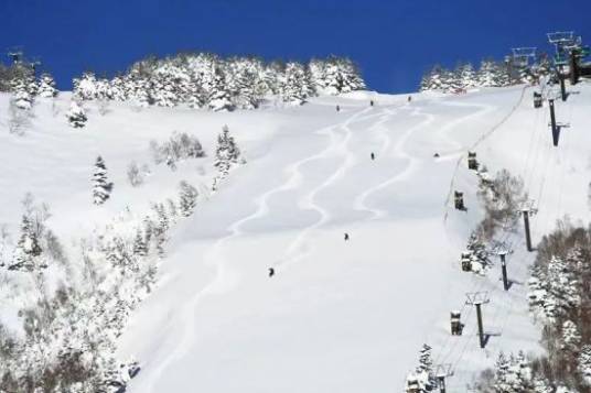 粉雪（词语）