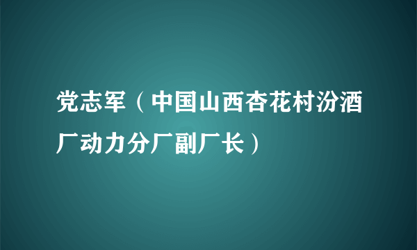 党志军(中国山西杏花村汾酒厂动力分厂副厂长)