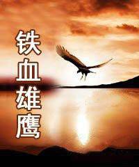 虎胆神鹰