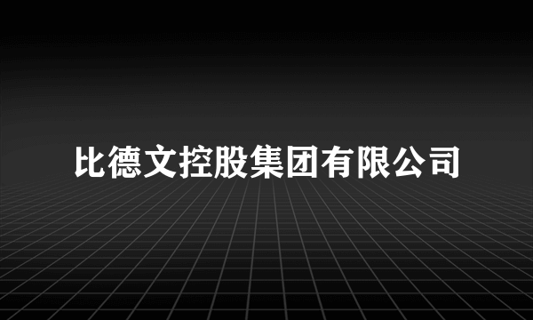 比德文控股集团有限公司