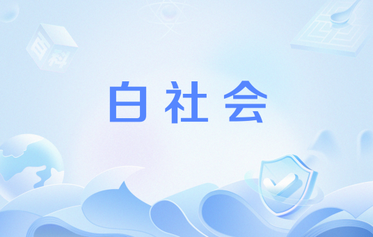 白社会（专门给弱势群体撑腰服务的群体）