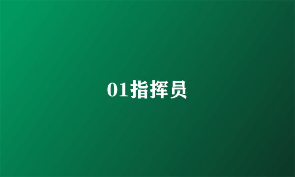 01指挥员