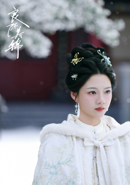 顾锦朝（电视剧《良陈美锦》中的主要角色）
