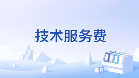 技术服务费