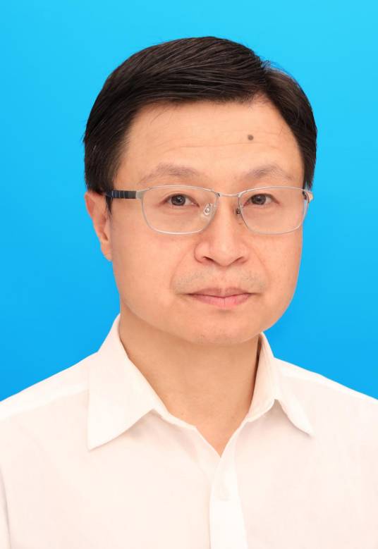 杨维东（重庆工商大学教授）