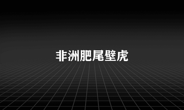 非洲肥尾壁虎
