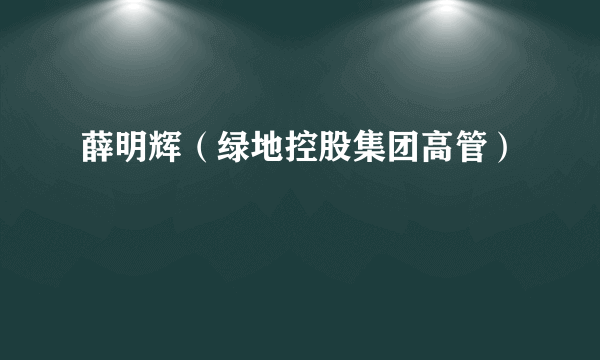 薛明辉（绿地控股集团高管）