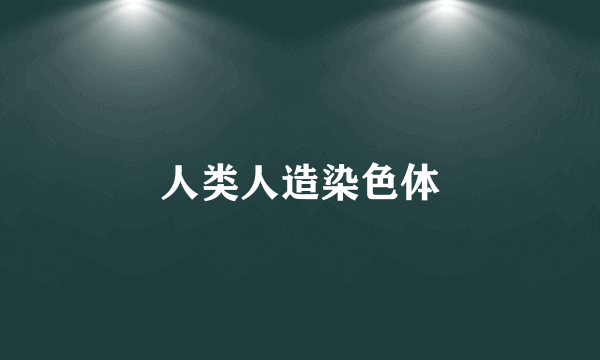 人类人造染色体