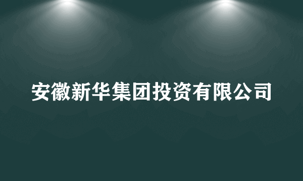 安徽新华集团投资有限公司