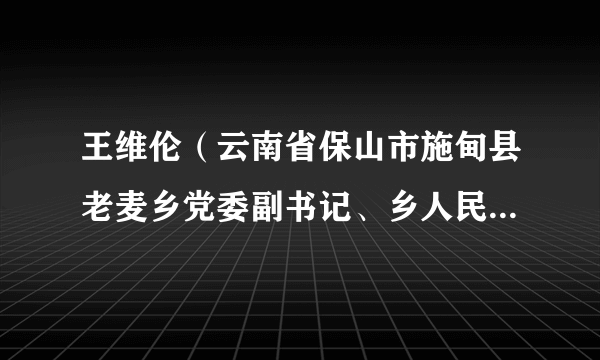 王维伦（云南省保山市施甸县老麦乡党委副书记、乡人民政府乡长）