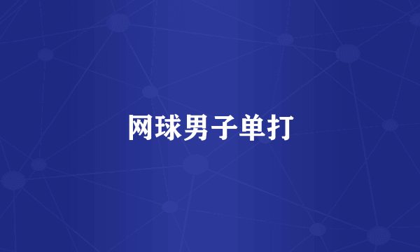 网球男子单打