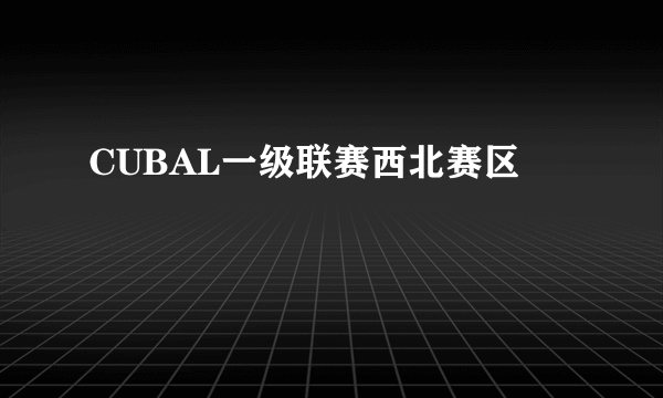 CUBAL一级联赛西北赛区
