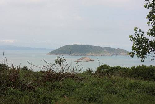 高登岛