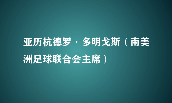 亚历杭德罗·多明戈斯（南美洲足球联合会主席）