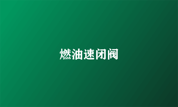燃油速闭阀