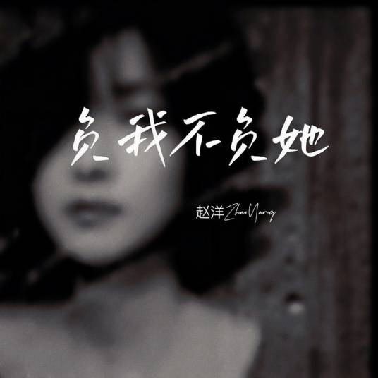 负我不负她（赵洋演唱的歌曲）