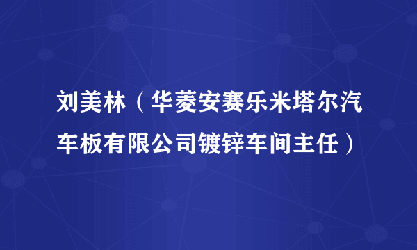 刘美林（华菱安赛乐米塔尔汽车板有限公司镀锌车间主任）