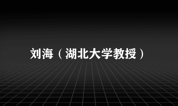 刘海（湖北大学教授）