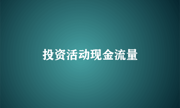 投资活动现金流量
