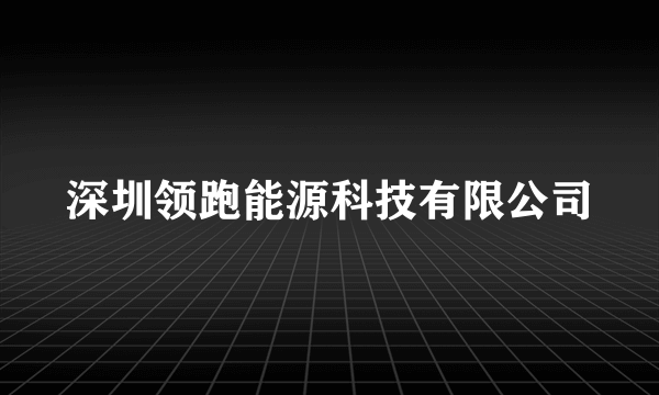深圳领跑能源科技有限公司