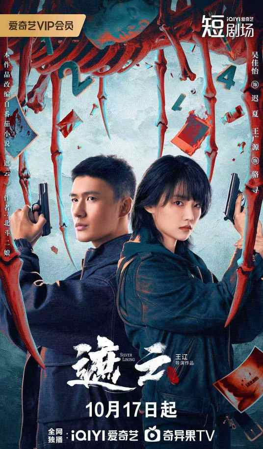 遮云（2025年王辽执导的刑侦悬疑剧）