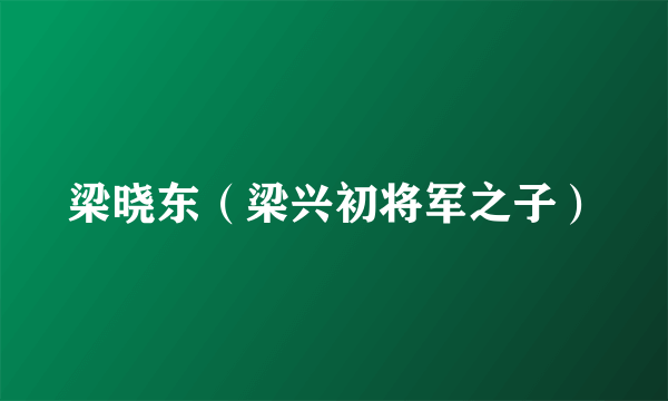 梁晓东（梁兴初将军之子）