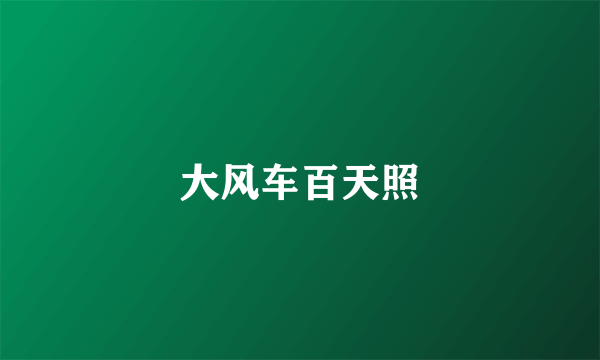 大风车百天照
