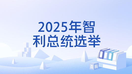 2025年智利总统选举