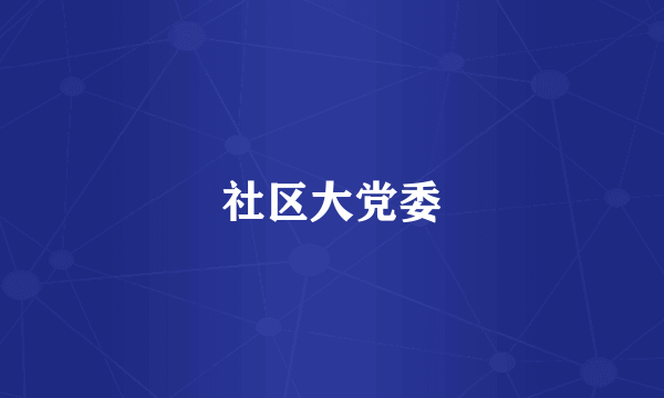 社区大党委