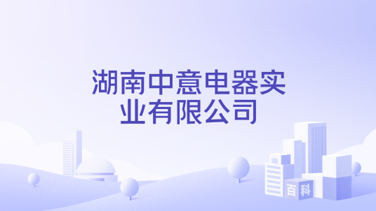 湖南中意电器实业有限公司