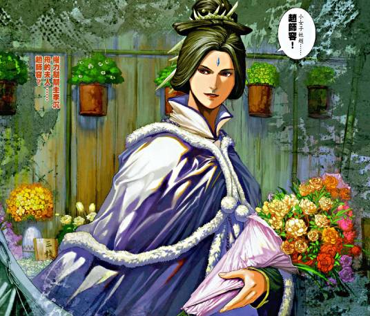 赵师容（小说《神州奇侠》中的人物）