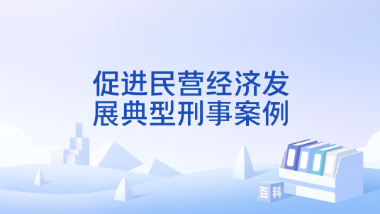 促进民营经济发展典型刑事案例