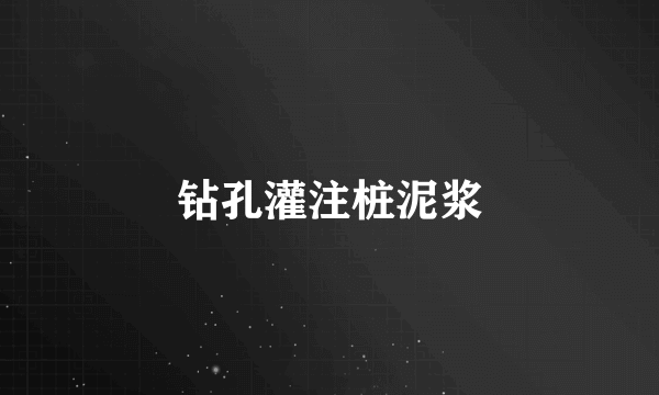 钻孔灌注桩泥浆