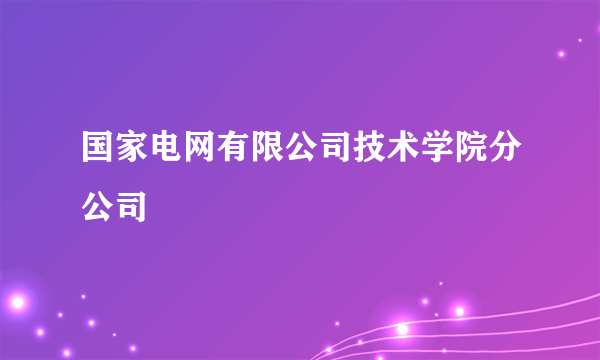 国家电网有限公司技术学院分公司