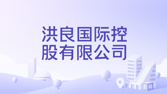 洪良国际控股有限公司