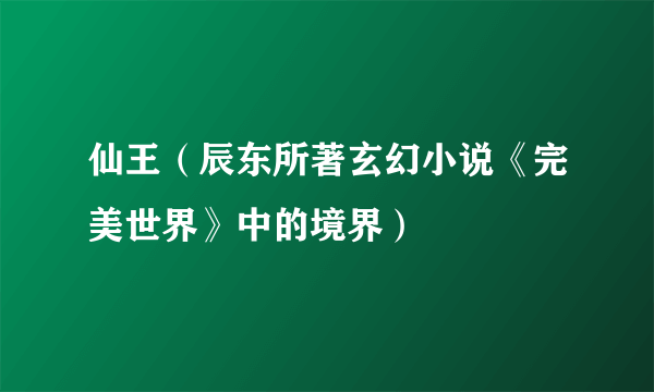 仙王（辰东所著玄幻小说《完美世界》中的境界）