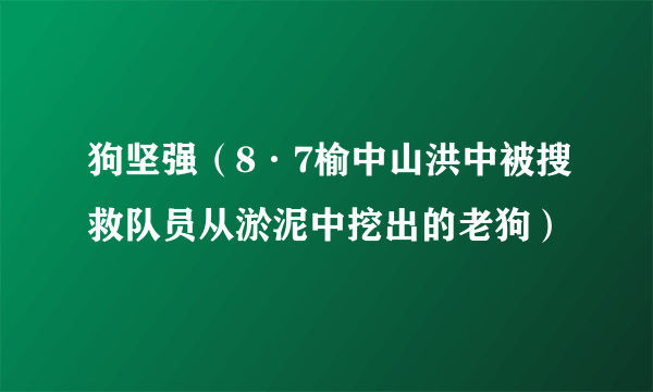 狗坚强（8·7榆中山洪中被搜救队员从淤泥中挖出的老狗）