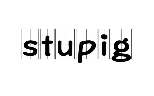 stupig（词语）